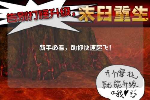 新手必看，助你快速起飛！